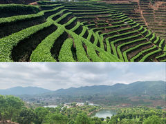 -普洱太阳河森林公园