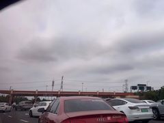 -迪士尼乐园停车场