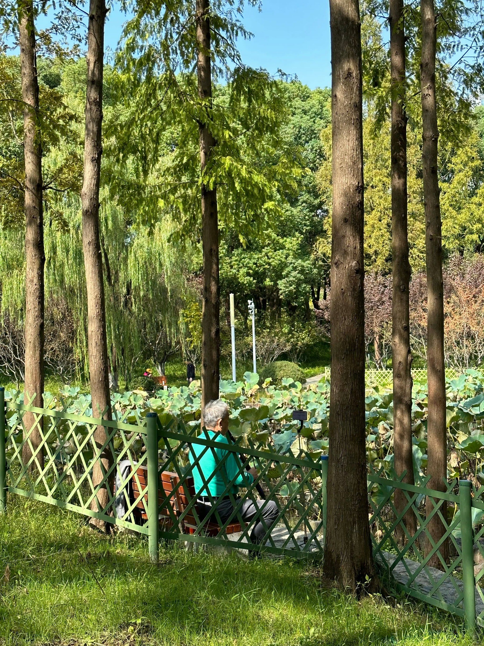 大宁公园有个超大的游乐场和各种健身器材