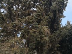 -长春市南湖公园