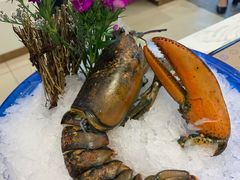 -半岛听涛蒸汽海鲜自助(K11店)