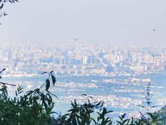 -香山公园