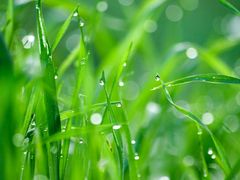 -北京同仁堂健康(成都高升桥店)