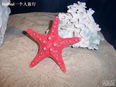 -亚龙湾中心广场·贝壳馆