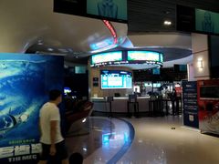 -奥斯卡升龙国际影城(RealD Cinema)