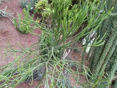 -南通洲际绿博园