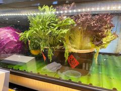 -万鱼亭 日本料理(无锡香山名园店)