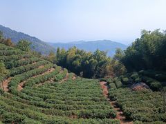 -长沙黑麋峰国家森林公园