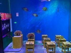 -上海海昌海洋公园