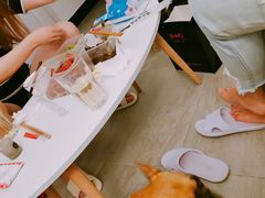 -爱侣宠医·鹦鹉专科·小型哺乳类·异宠专科(灵石路店)