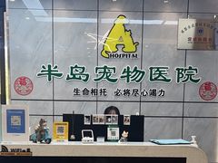 -半岛宠物医院24小时(西派城店)