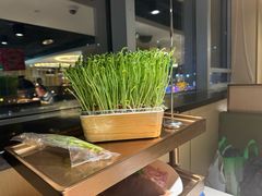 -海底捞火锅(崇文门新世界百货店)