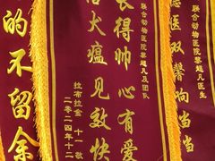 -联合动物医院(光谷诊疗中心)