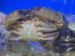 -桔子海鲜烧烤大排档(金沙滩店)