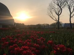 -上海鲜花港