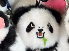-成都东站