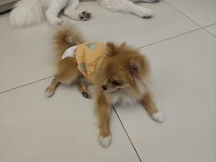 -怪兽屋·羊驼·猫咖·狗咖(俊华广场店)