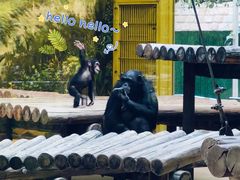 -北京野生动物园