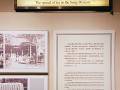 -中国茶叶博物馆(双峰馆区)