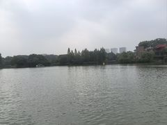 -青枫公园