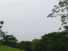 -良渚古城遗址公园