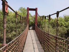 -吴淞炮台湾湿地森林公园烧烤区