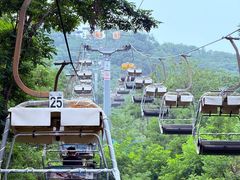-富斯特索道