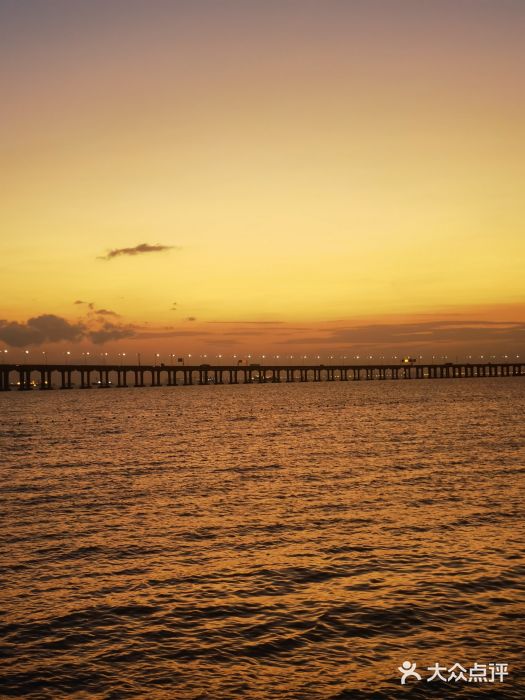 宝安西湾红树林湿地公园图片