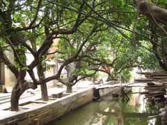 -小洲村