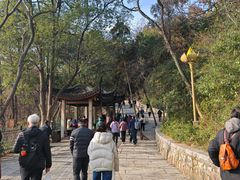 -灵岩山风景区