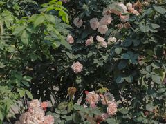 -人民公园(罗湖区)