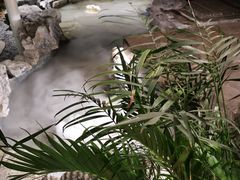-纳地素食(石门公园店)