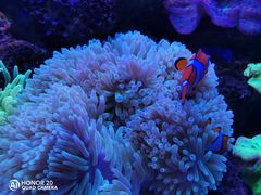 -多彩贵州城极地海洋世界