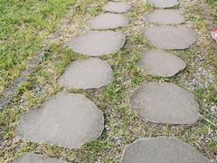 -瑞穗牧场
