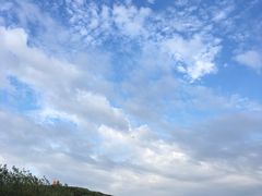 -上海佘山国家森林公园西佘山园