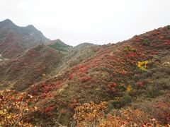 -水峪民俗村
