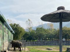 -西安秦岭野生动物园