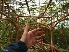 android_upload_pic-水镜湖