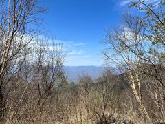 -白草畔自然风景区