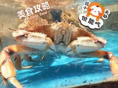 -芳芳私房菜·精做淮扬菜(承德路店)