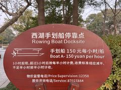 -西湖游船