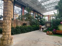 -郑州银基黄帝宫御温泉