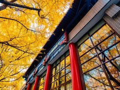 -四川大学(望江校区)