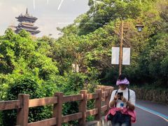 -杭州半山国家森林公园