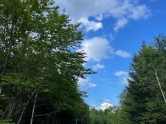 -汤旺河林海奇石景区