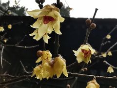 -颐和园