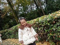 -重庆彩云湖湿地公园