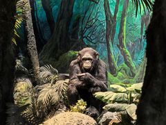 -国家自然博物馆