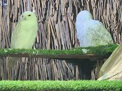 -广州长隆野生动物世界