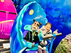 -青岛嘉年华主题乐园